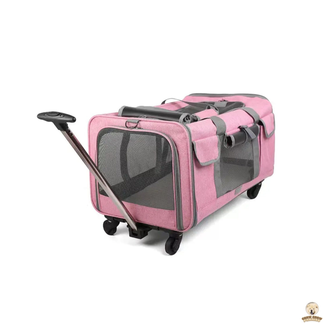 cria de chow chow en españa tienda online de compras para perros. bolsa transpirante trasportador de perros para viajes.chow chow paraiso. el mundo de los perros españa, tienda online, compra de cachorros de chow chow 2