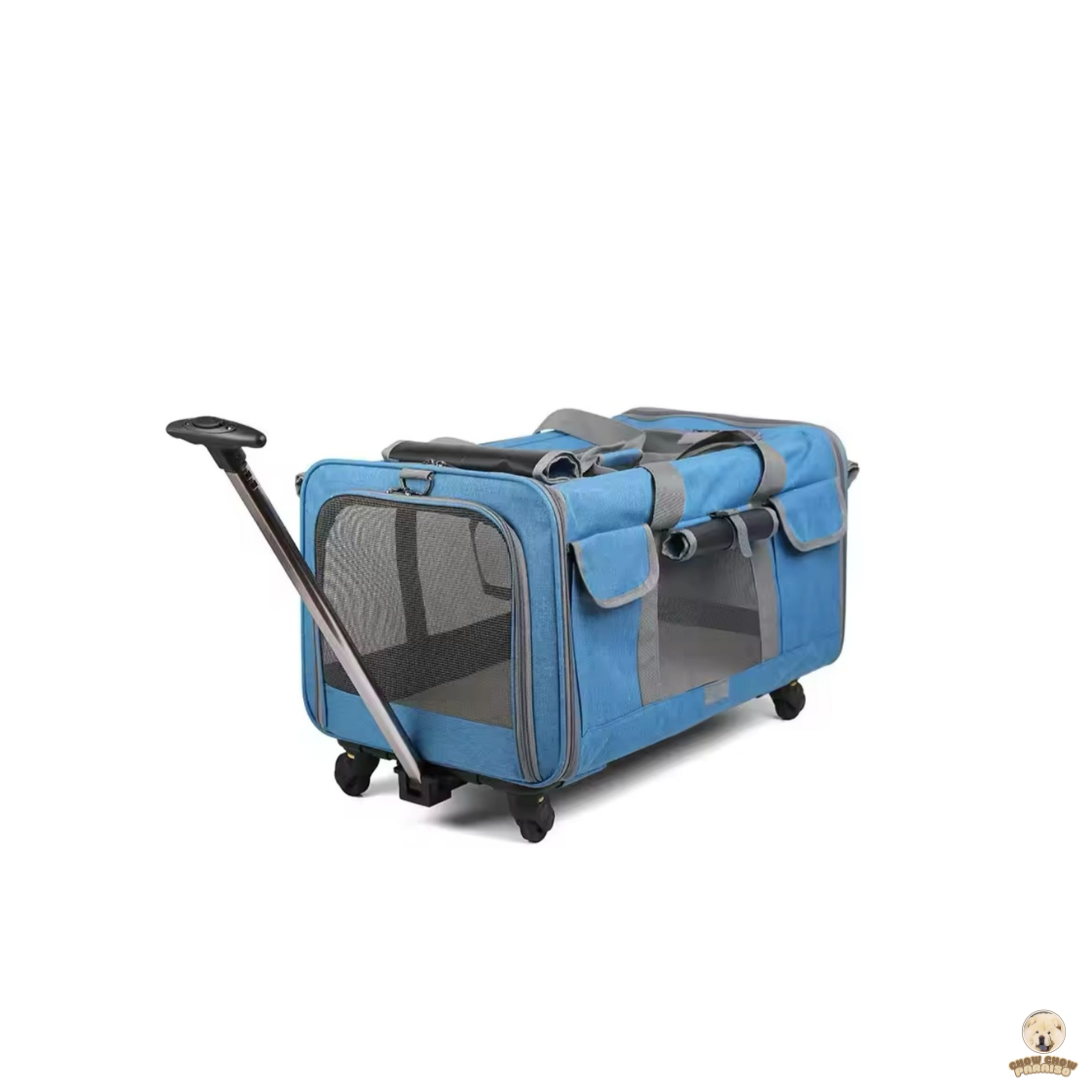 cria de chow chow en españa tienda online de compras para perros. bolsa transpirante trasportador de perros para viajes.chow chow paraiso. el mundo de los perros españa, tienda online, compra de cachorros de chow chow 2