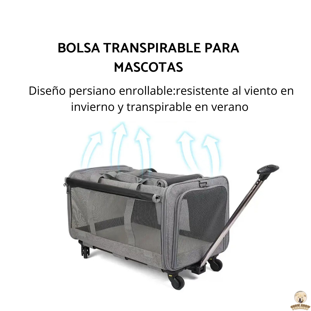 cria de chow chow en españa tienda online de compras para perros. bolsa transpirante trasportador de perros para viajes.chow chow paraiso. el mundo de los perros españa, tienda online, compra de cachorros de chow chow 2